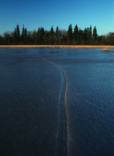 Ice Fissure, Vernal Pond, Pine Barrens, Atlantic County, NJ County, NJ (MF).jpg
